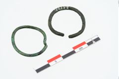 Foto von Bronzering (NHMW-PRAE-025173)